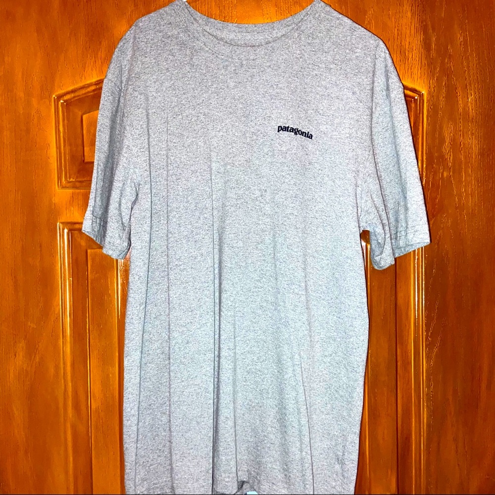 Patagonia Fitz Roy Bison Responsibili-Tee: Medium
